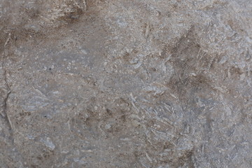 texture of stone wall