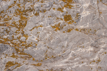 Текстура камень