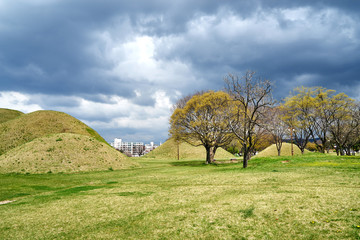 Obraz premium Noseori Ancient Tomb in Gyeongju-si, South Korea.