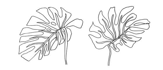 Contour line drawing leaf of monstera.  Modern minimalism art, aesthetic contour. Pastel Scandinavian color palette. - 276538243