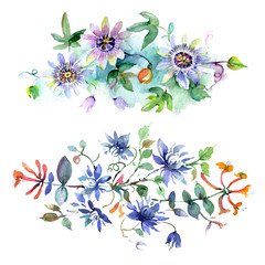 Fototapeta na wymiar Bouquet floral botanical flowers. Watercolor background illustration set. Isolated bouquets illustration element.