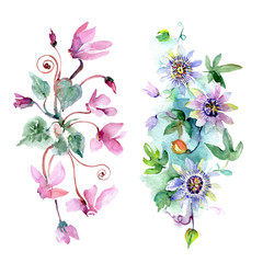 Bouquet floral botanical flowers. Watercolor background illustration set. Isolated bouquets illustration element.