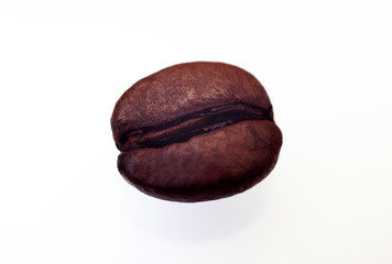 coffee beans on a white background macro