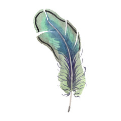 Watercolor bird feather from wing isolated. Aquarelle feather for background. Isolated feather illustration element.