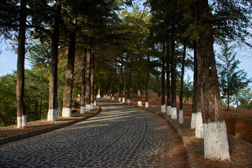 Caminos de Michoacan