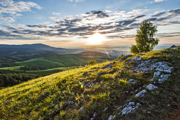 mountain landscape with trees and blue sky