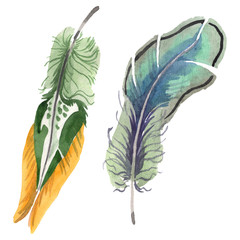 Watercolor bird feather from wing isolated. Aquarelle feather for background. Isolated feather illustration element.
