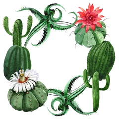 Raamstickers Cactus Groene cactus bloemen botanische bloem. Aquarel achtergrond afbeelding instellen. Frame grens ornament vierkant.