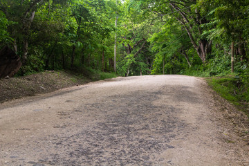 Obraz premium Road, Guanacaste, Costa Rica.