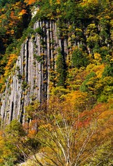 燃える日本の秋