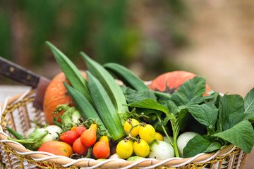 Fresh vegetables organic in basket