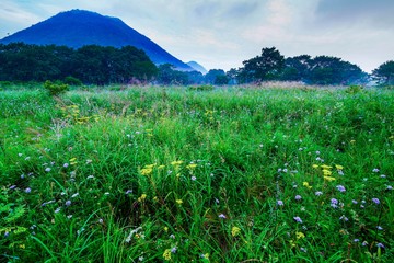 晩夏の花園　榛名山にて