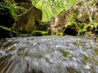 waterfall in the forest
