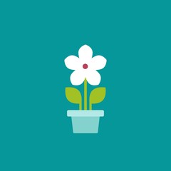 Flat icon of daisy flower in pot with stem and green leaves. Bloom with white petals . Isolated on blue background.