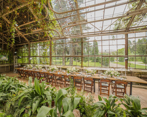 Old glass greenhouse with a variety of plants to celebrate the wedding, a long table decorated with flower arrangements, candles, art nouveau decoration