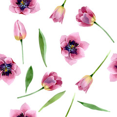 Pink tulips floral botanical flowers. Watercolor background illustration set. Seamless background pattern.