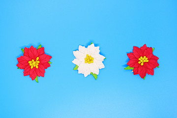 Christmas poinsettia flowers close-up on a blue background, Christmas backgrounds, Christmas composition, a place for tex