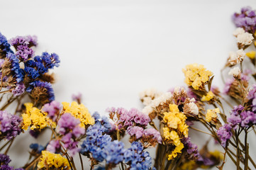 Frame made of dried colored flowers on a white background. copy space. Place for text and design. Greeting card. Flat lay, top view. Flowers composition.