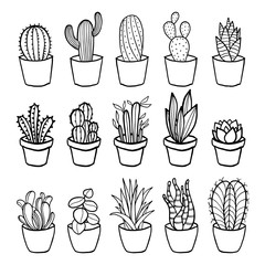 vector cactus in pot drawing by hand