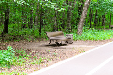 Forest trees, bench and pathway, running, walking, cycling track in a park. City park relax concept.