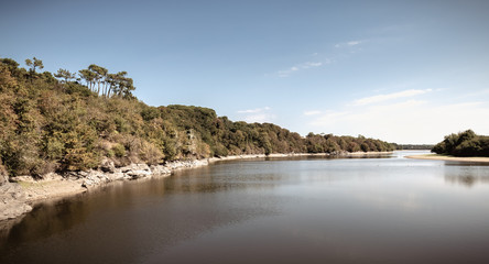 Fototapeta na wymiar view of the Jaunay lake in Vendee France