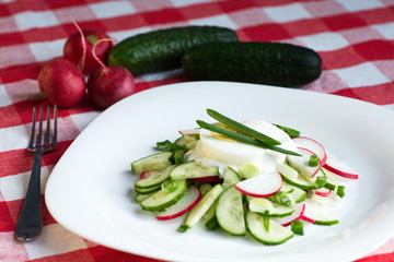 Breakfast of fresh vegetables in a rustic style.