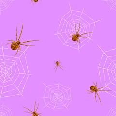 Spider cobweb seamless vector