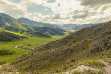 Fototapeta na wymiar A picturesque place in the Altai Mountains with green trees and grass in the wild with a winding road at the foot under a blue sky with clouds on a warm summer day.