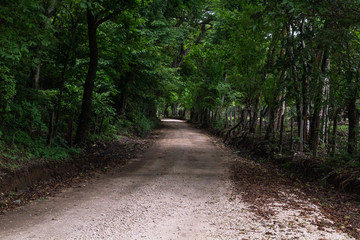 Road, Guanacaste, Costa Rica.