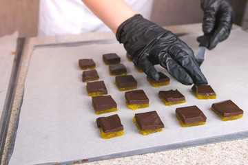 Divide fillings for chocolate candies praline with apricot seeds using spatula. Puts it on baker...