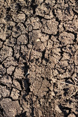 black, thirsty dry parched earth on a farm in drought in rural New South Wales, Australia
