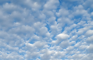 beautiful blue sky with white fluffy clouds