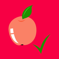 Flat apple with leaf . Vector realistic illustration. Fresh isolated fruit