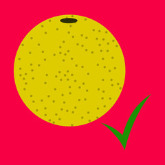 Flat Orange whole . Vector illustration of orange.