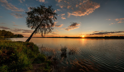 Fototapeta na wymiar lake sunset sun clouds tree sky