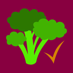 Broccoli. Flat illustration. isolated on background. Fresh Vegetable. Vegetarian food