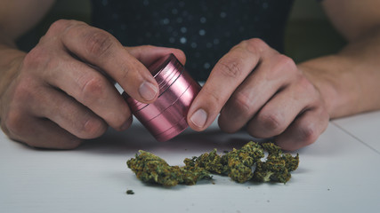 The young person hold in his hand grinder and medical marijuana buds. Cannabis is a concept of herbal medicine.