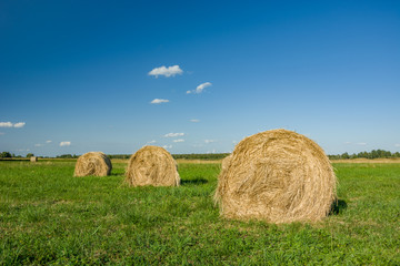 Round hay bales lying on a green meadow and small clouds on a blue sky