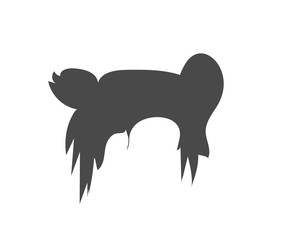 woman hairstyle element icon vector illustration design