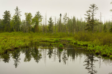Fototapeta na wymiar Brunsweiler River at the head of Spider Lake in the Chequamegon National Forest.