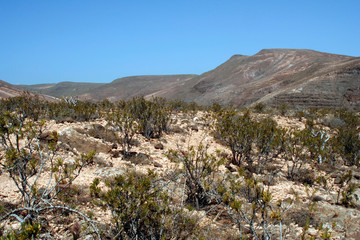 landscape on the island of Lanzarote