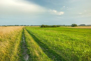 Fototapeta na wymiar Road through fields and meadows towards the horizon