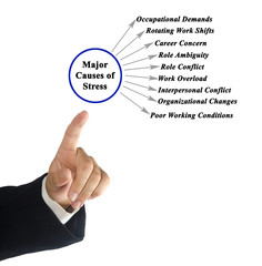  Nine Major Causes of Stress.