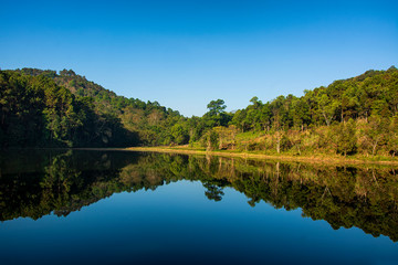 Fototapeta na wymiar Morning light at Pang Ung, Mae Hong Son in Thailand.