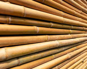 Bamboo twig wall as abstract background