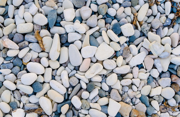 Stones on the sea coast