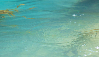 Turquoise water in a pond as an abstract background