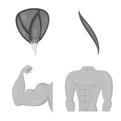 Vector illustration of human and body icon. Collection of human and cells stock symbol for web.