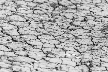 Cracked soil as an abstract background