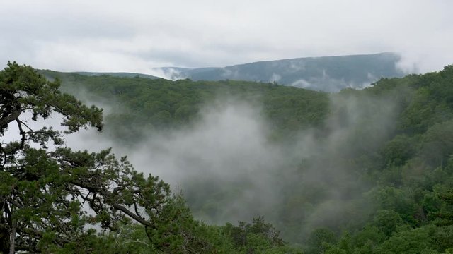 Wispy ghost-like clouds blow and curl thru trees over forest ridges in Shenandoah National Park, Virginia in the Blue Ridge Mountains on a gloomy overcast day.